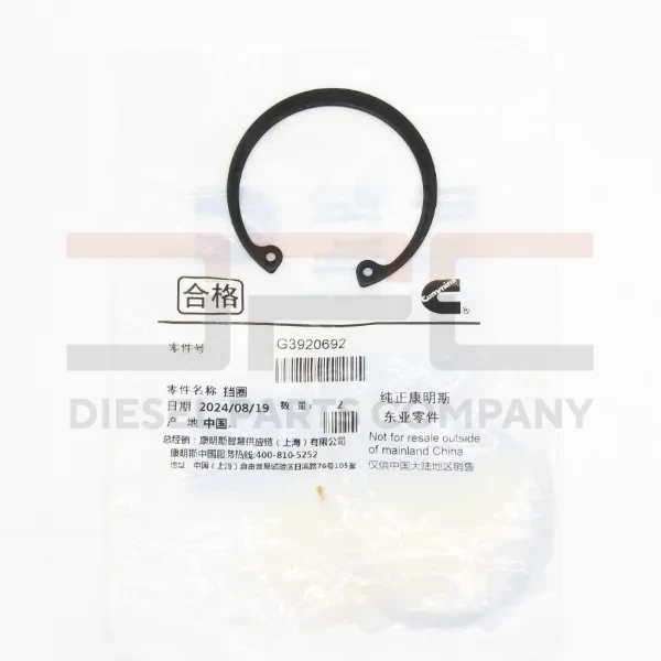 Кольцо стопорное Оригинал Cummins ISLe, 6CT — изображение 2